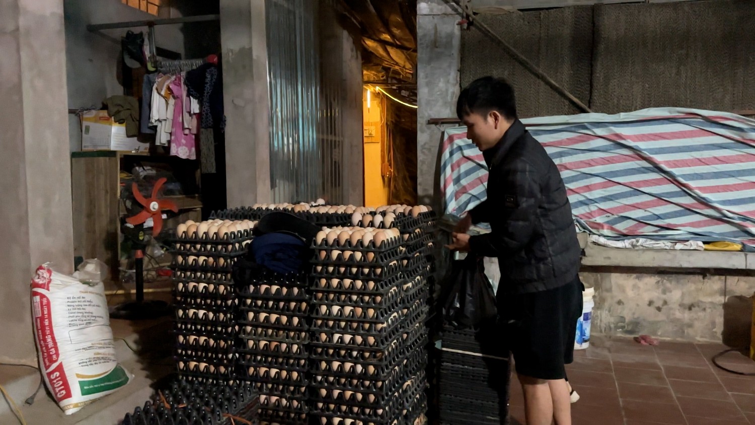 ảnh trứng