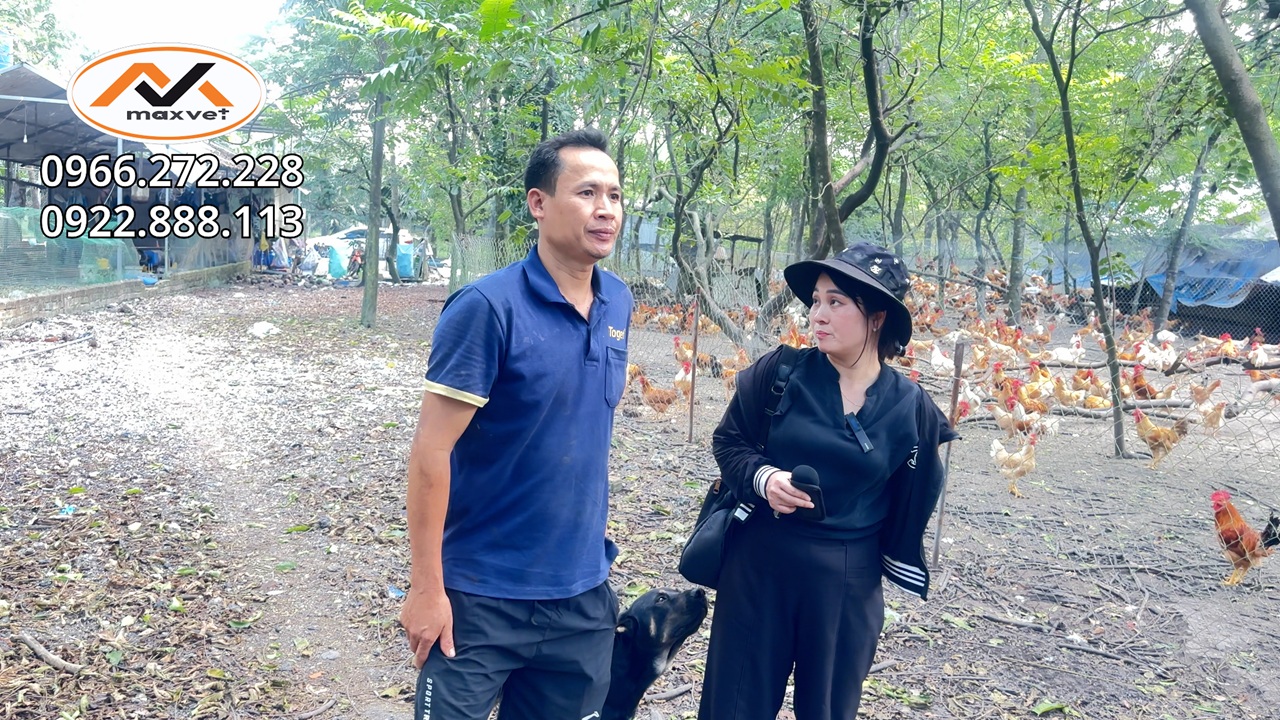 Lần đầu vào miền nam thăm trang trại hơn 20 nghìn con gà thả vườn và thực tế sẽ như thế nào?