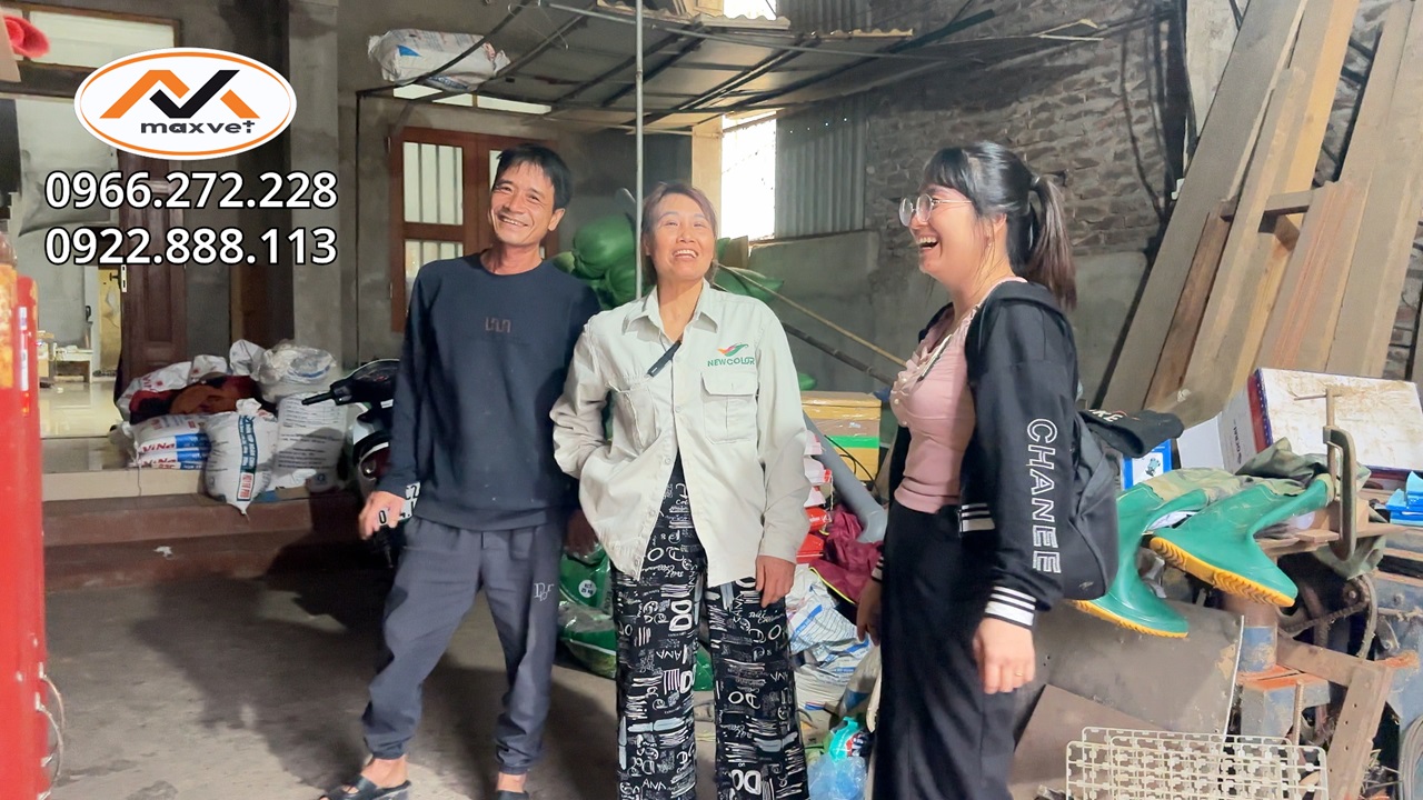Thu lợi nhuận khủng từ nuôi chim bồ câu non chăn bộ khi diện tích chuồng hạn chế | Nuôi chim bồ câu